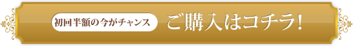 �W���W�����t�g�@�烉�C��
