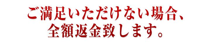 �W���W�����t�g�@�烉�C��