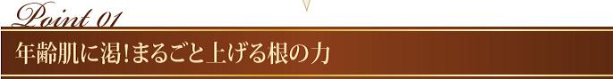 �W���W�����t�g�@�烉�C��